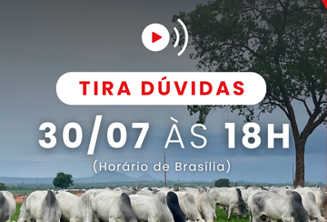 TIRA DÚVIDAS CFM